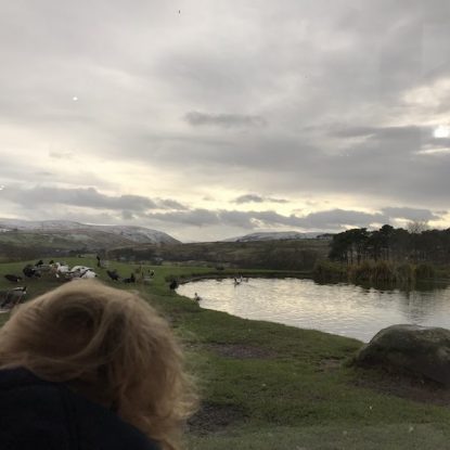 tebay services